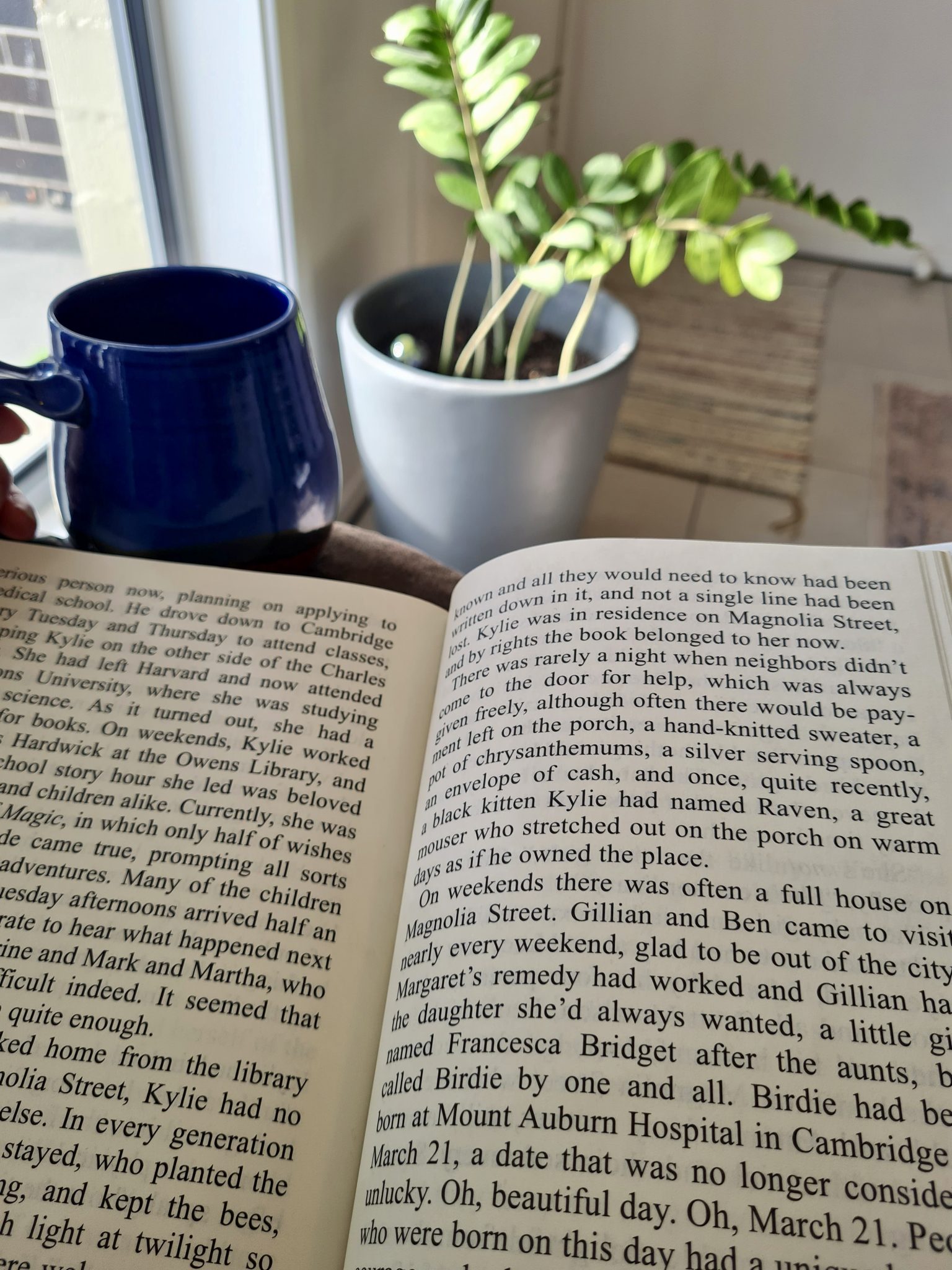 Reading a Book, Tea, Coffee