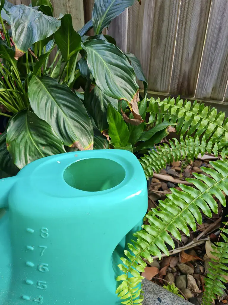 Gardeing, Watering Can