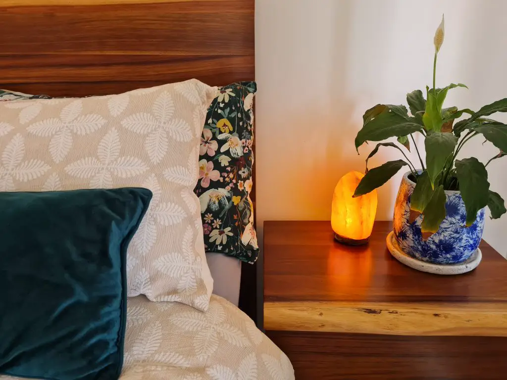Calm Bedroom Reset, Plant, Himalayan Salt Lamp
