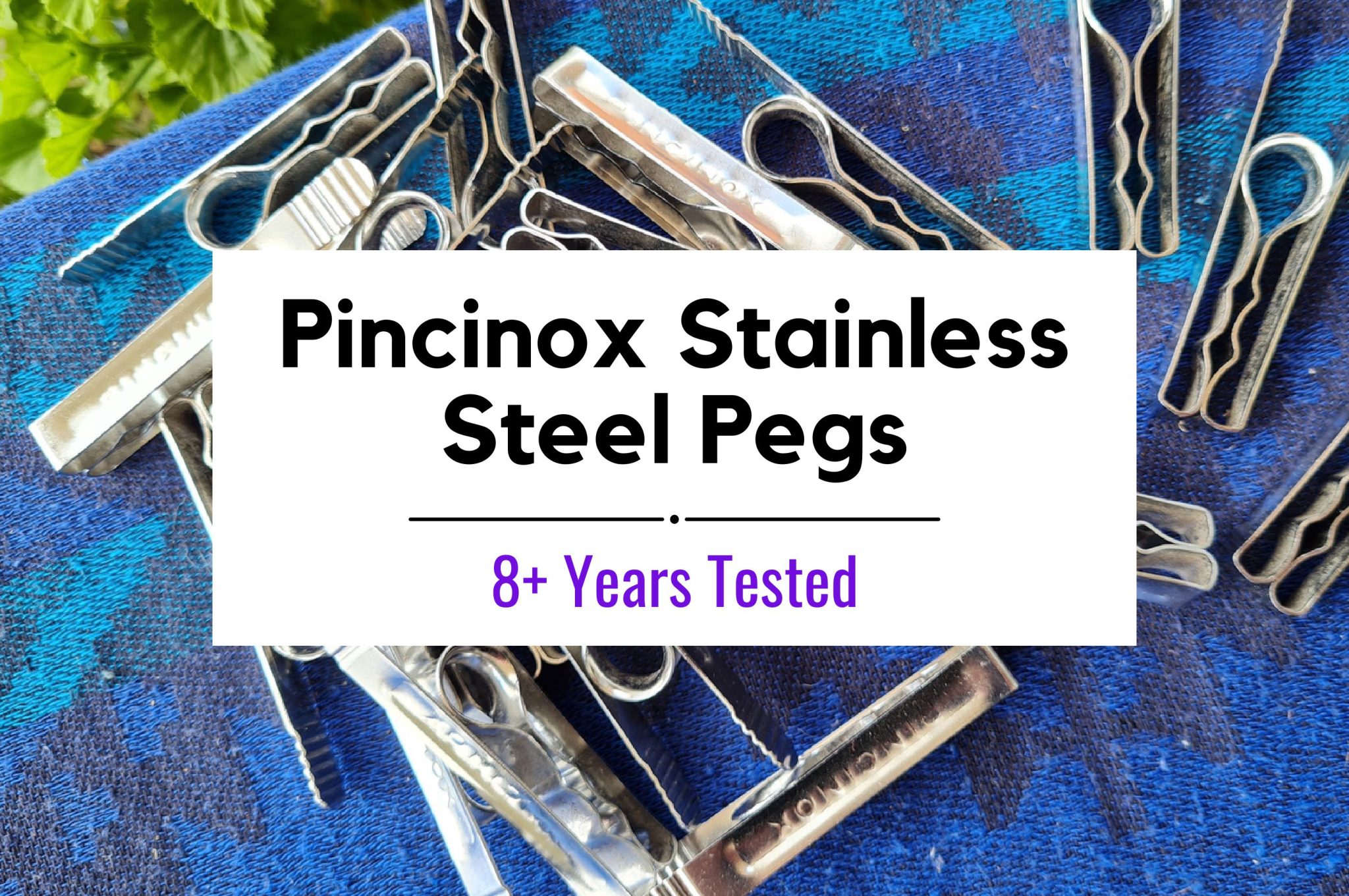Pincinox Stainless Steel Pegs Review