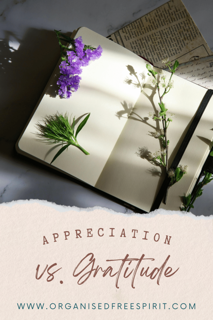 Manifesting with Appreciation PIN