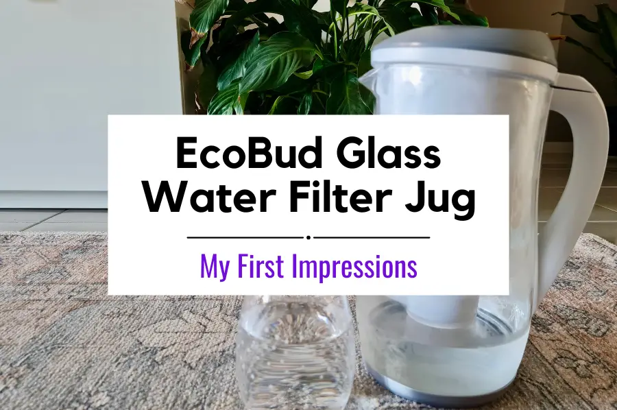 EcoBud Water Filter Jug Review, Unboxing, & First Setup