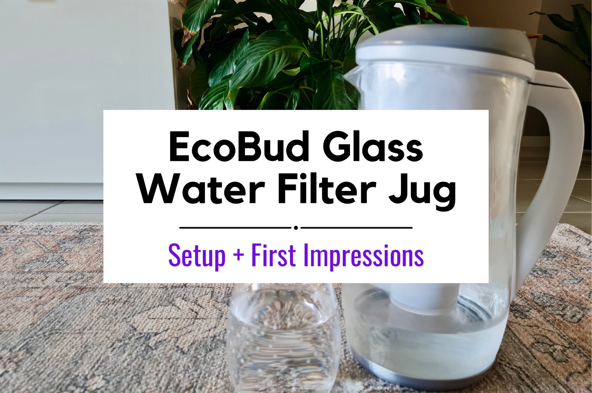 EcoBud Water Filter Jug Unboxing, & First Setup