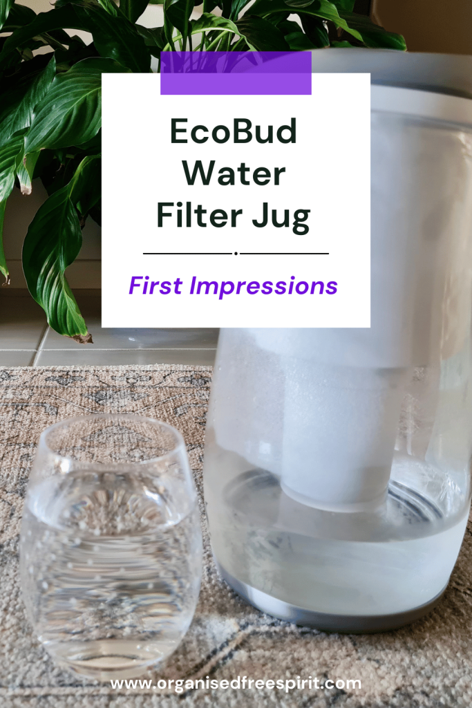 EcoBud Water Filter Jug Review, Unboxing, & First Setup- PIN