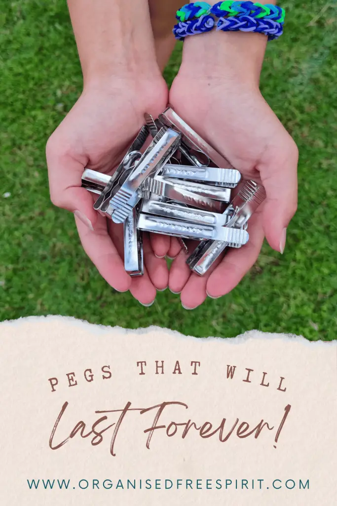 Pincinox Stainless Steel Pegs Review PIN