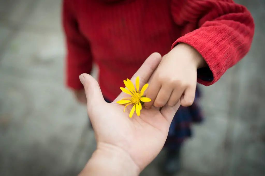 Gratitude, Gratefulness, Giving, Recieving