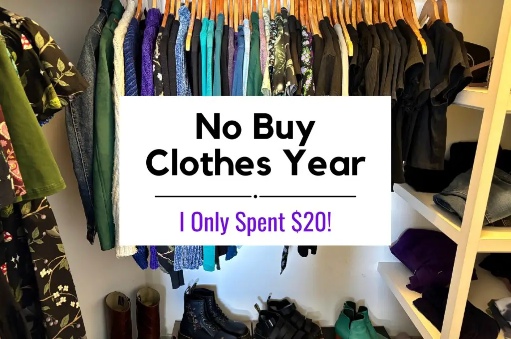 No Buy Clothes Year