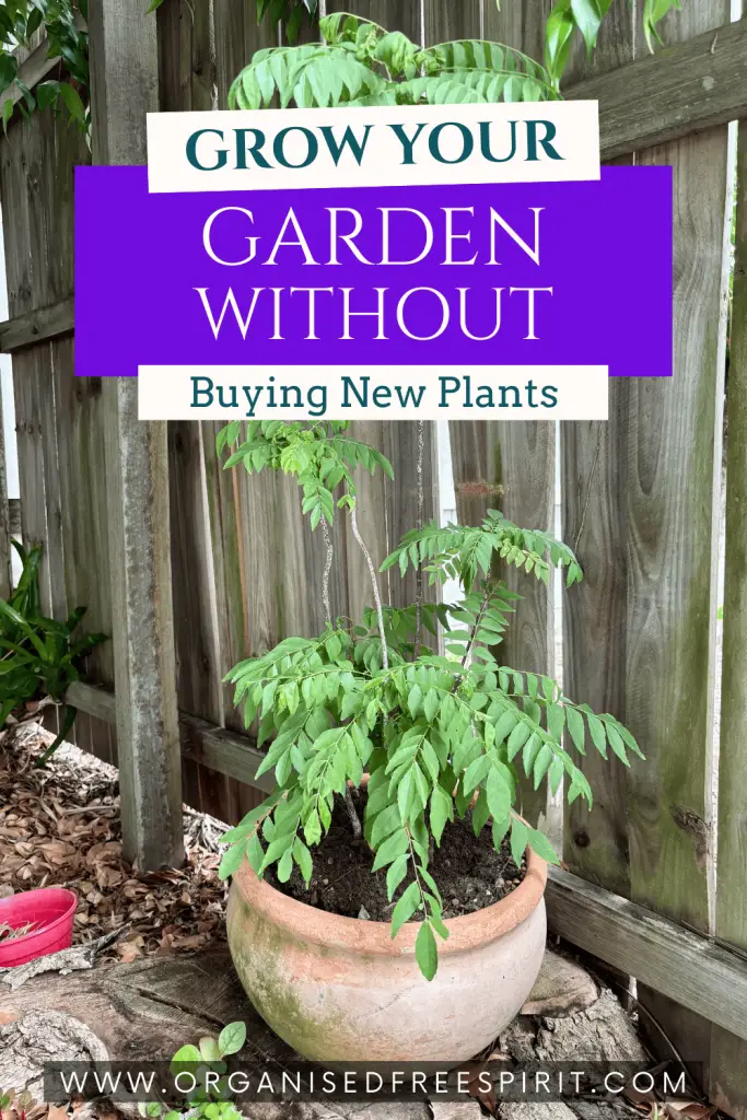 How I Get Free Plants - PIN