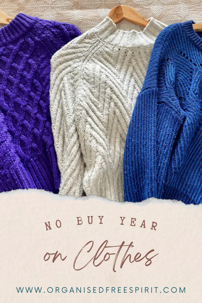 No Buy Clothes Year - PIN
