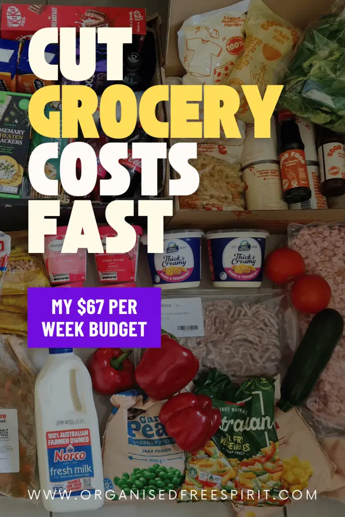 Feed Your Family Cheaply - PIN