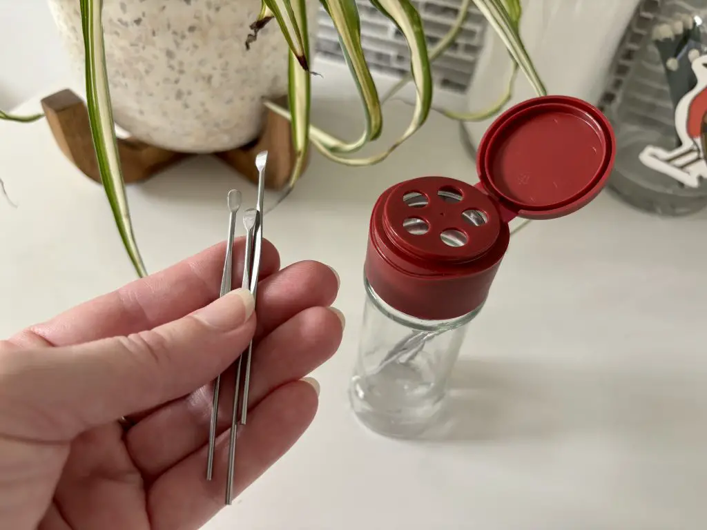 Stainless Steel Ear Picks