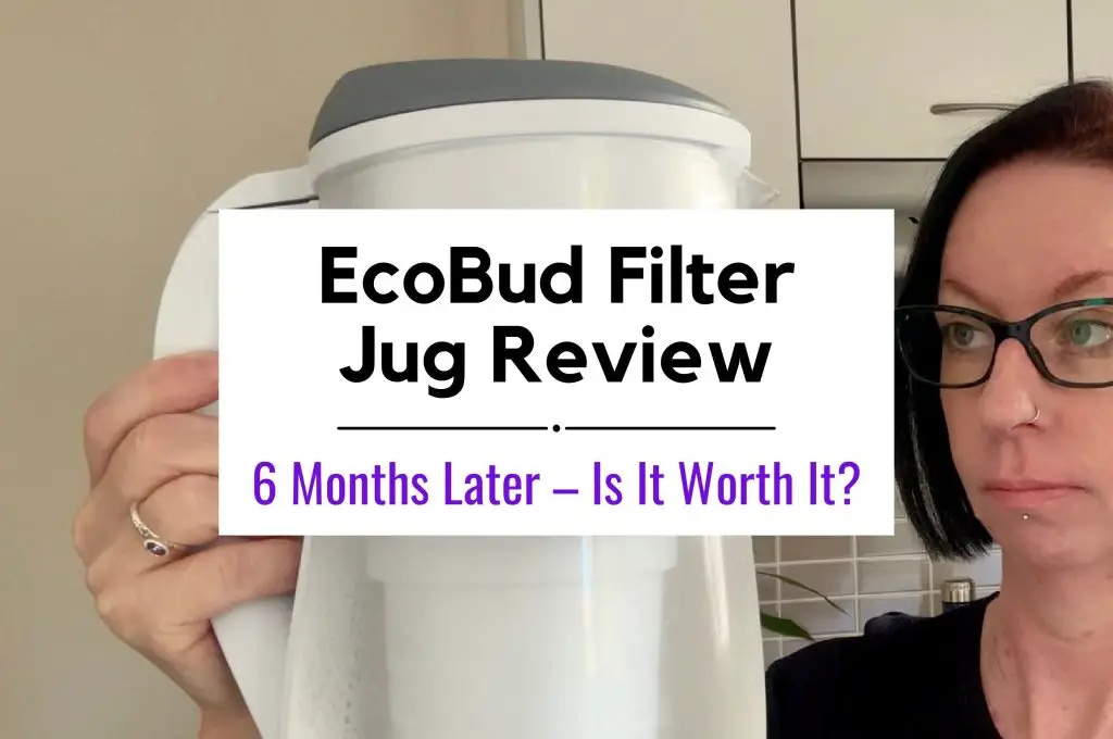 EcoBud Gentoo Water Filter Jug Review (6 Months)