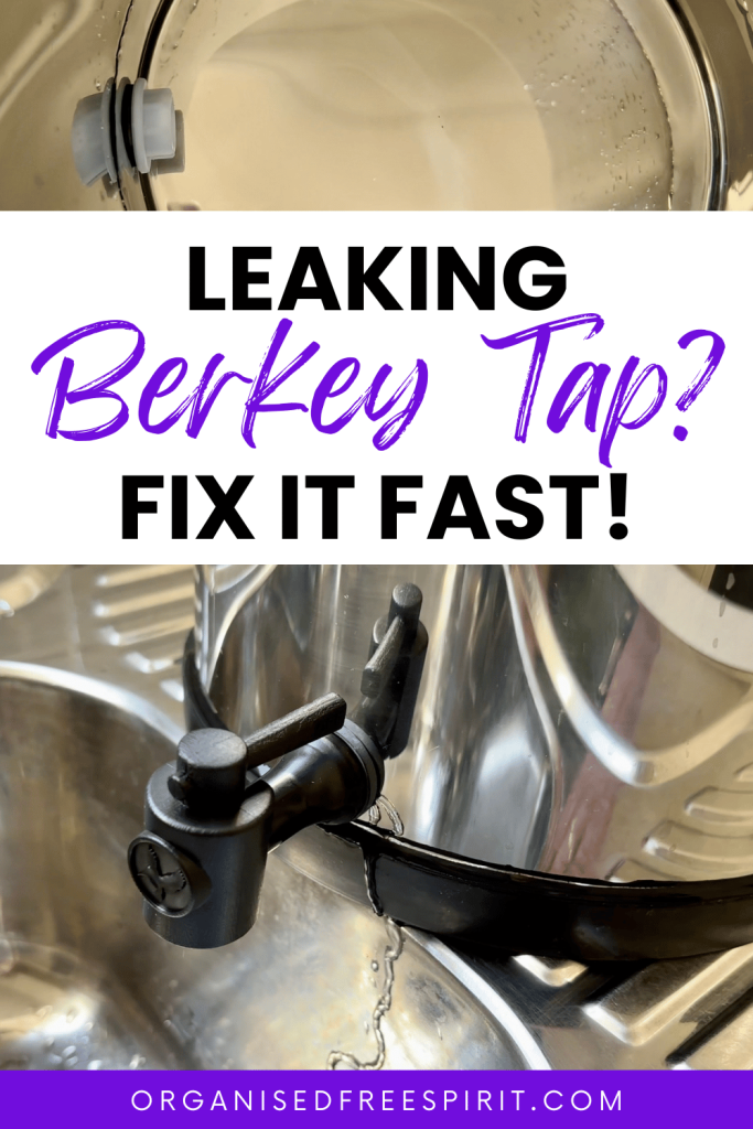 How to Fix a Leaking Berkey Tap - PIN