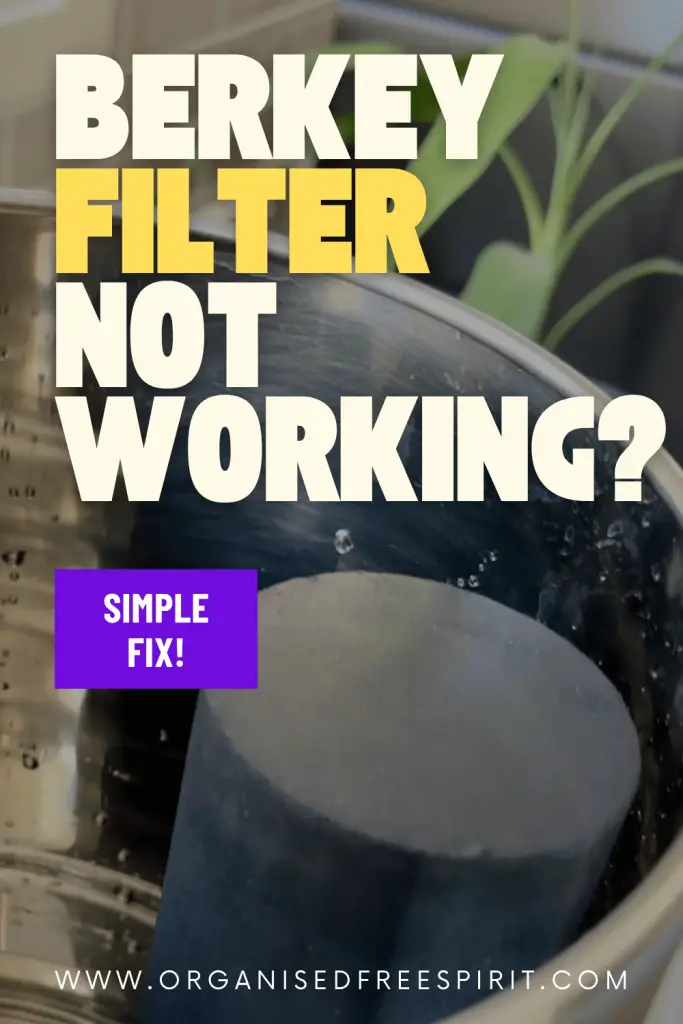 How to Fix Berkey Filters Not Working - PIN