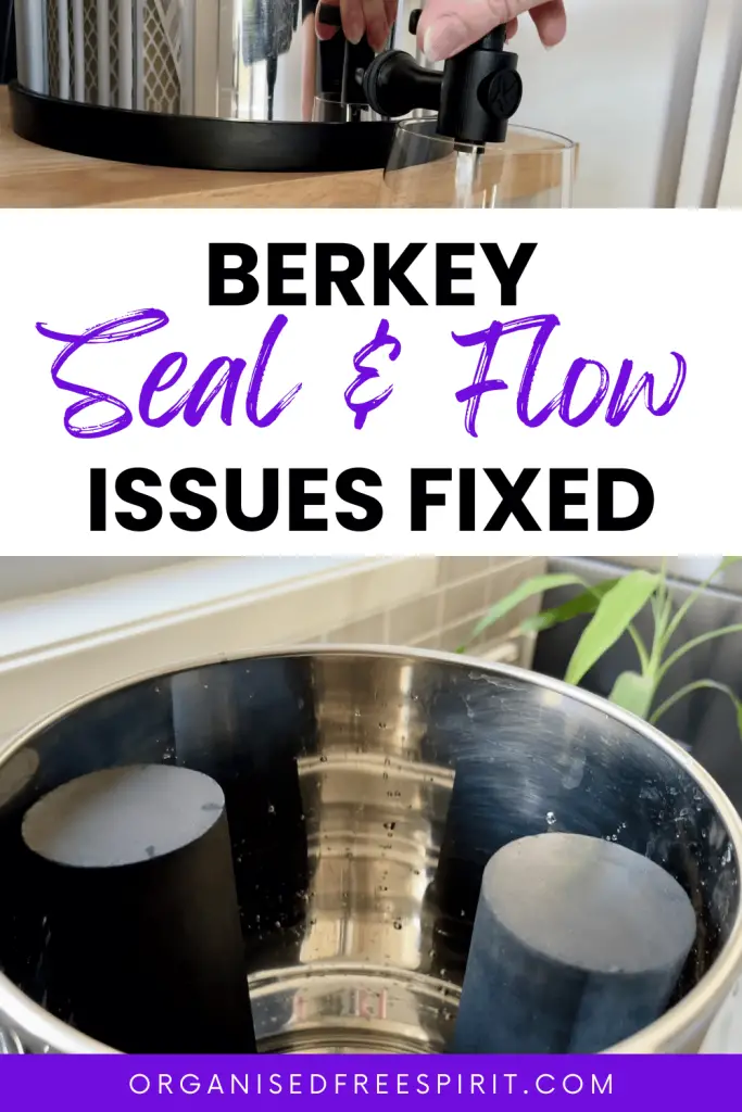How to Fix Berkey Filters Not Working - PIN