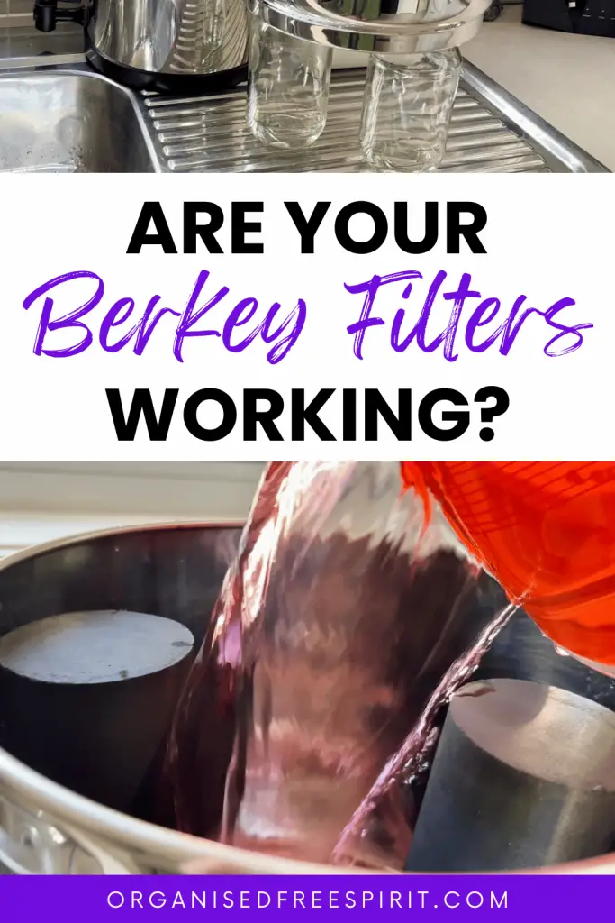 Berkey Red Dye Test - PIN
