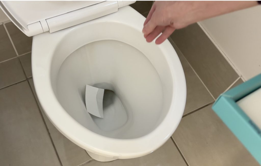 Filthy Clean Toilet Cleaning Sheets